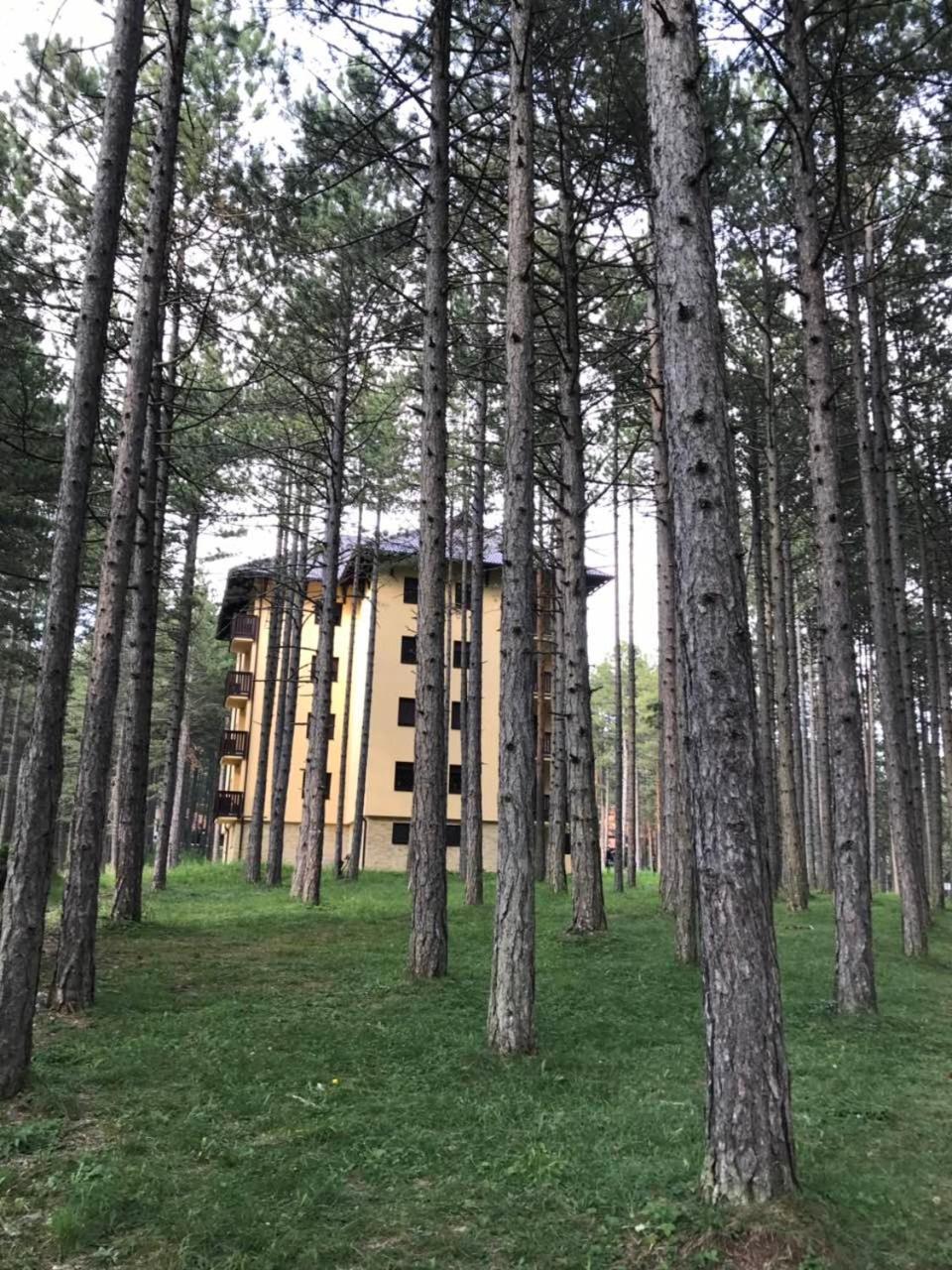 Zlatibor Apartmani Jakovljevic Luaran gambar